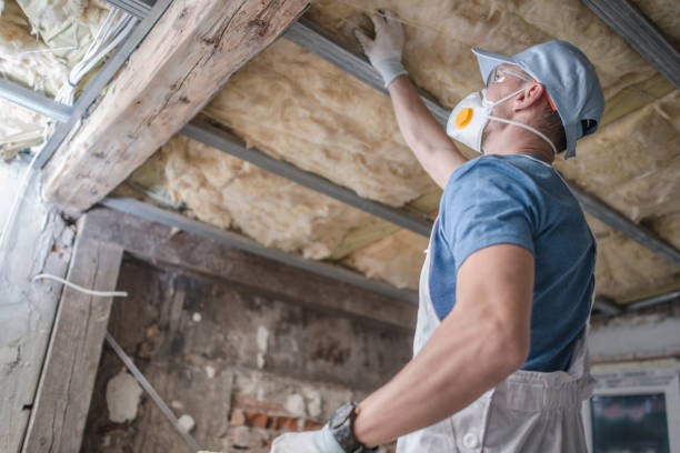 Best Crawl Space Insulation  in Shady Spring, WV