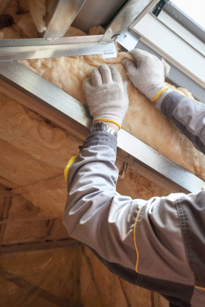 Insulation Replacement Services in Shady Spring, WV