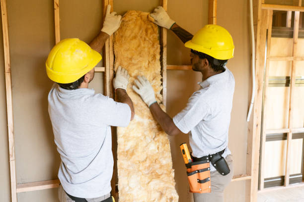 Best Fiberglass Insulation  in Shady Spring, WV
