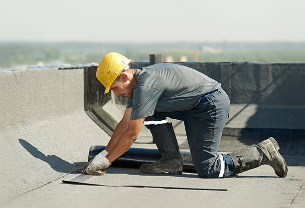 Best Spray Foam Insulation  in Shady Spring, WV