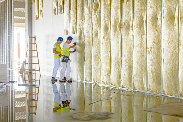 Best Blown-in Insulation  in Shady Spring, WV